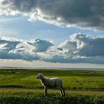 Aar Nordsee Διαμέρισμα