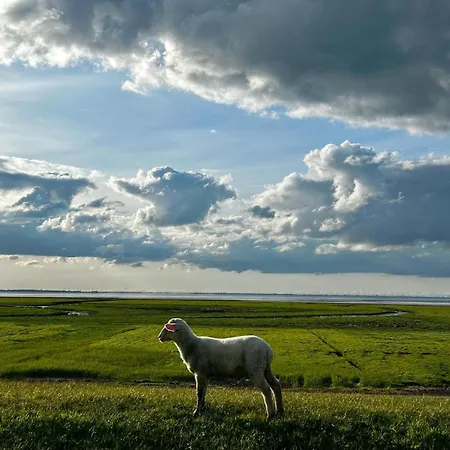 Aar Nordsee Apartmán